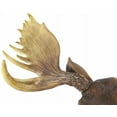 thumbnail image 4 of IH Casa Decor Polyresin Moose Head Emperor 23,5", 4 of 5