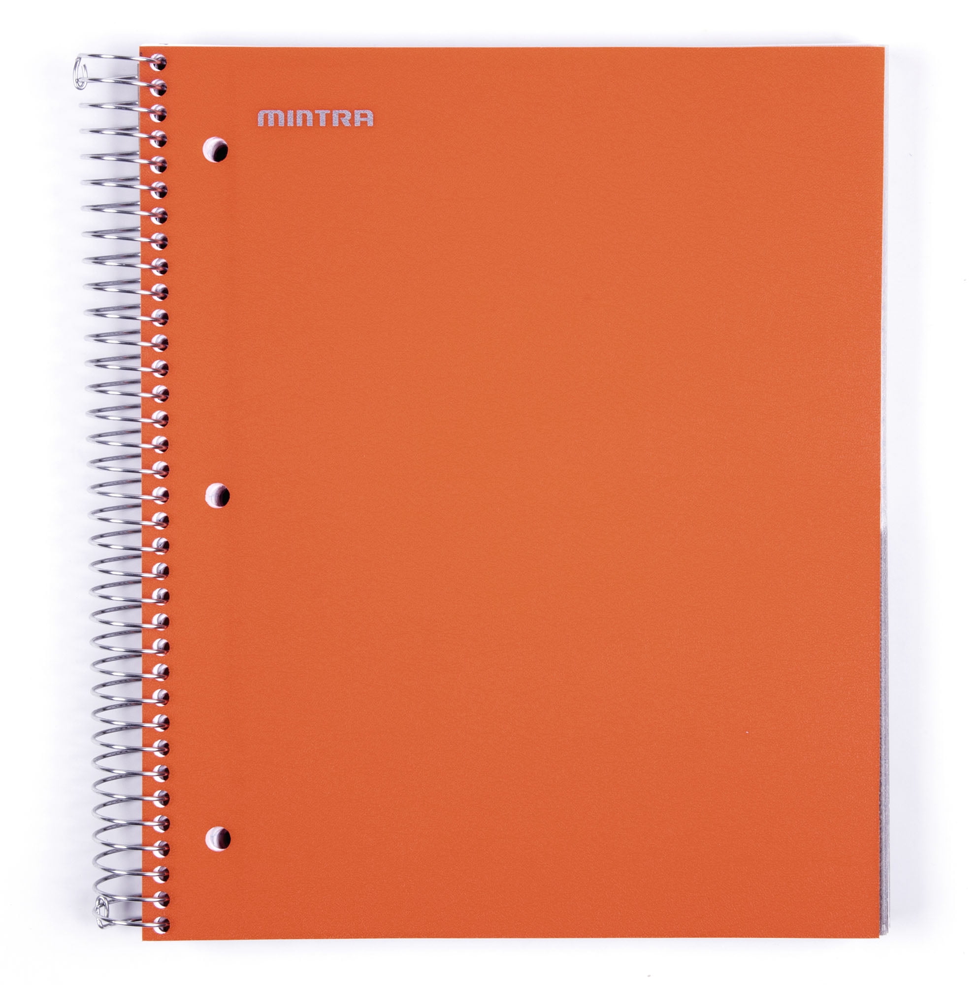 Arctic Ice, College Ruled 1pk 5 Subject Mintra Office Durable Spiral Notebooks 