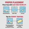 thumbnail image 6 of (2 Pack) Catchmaster Heavy Duty Solid Home Pests Glue Trays 4 Count - Rats, Mouse, Snakes, 6 of 8