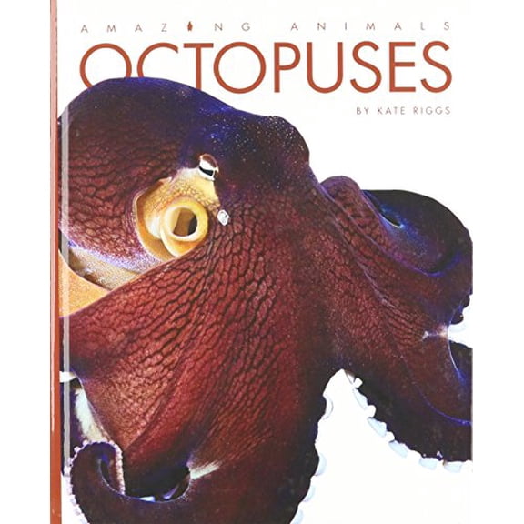 Pre-Owned Amazing Animals: Octopuses (Hardcover)
