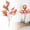 C, variant on 1 Pcs Cherry Blossom Branches Artificial Flowers for Spring Summer Indoor Decoration Faux Cherry Blossom Long Stems Fuchsia Silk Fake Flowers for Tall Vase Arrangements Home Wedding Table Decor
