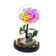 thumbnail image 5 of Rosa iluminada BLESIY Flor preservada en cúpula de cristal luz de mesa, 5 of 8