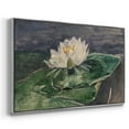 thumbnail image 3 of Vintage Botanical Print-LX By Wexford Home Framed in Silver Wood Gallery Wrapped Canvas 17 in. x 25 in., 3 of 7