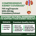 thumbnail image 7 of Simply Potents Health Supplement - Kidney Support, Cleanse & Detox, 705mg Capsules with 21 Herbs, 7 of 7