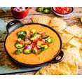 Savory Spice TexMex Queso STF9 & Dip Spice & Easy Meal Starter Spice