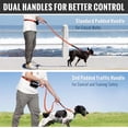 thumbnail image 3 of Plutus Pet Hands Free Dog Leash, Soft Padded Dual Handle Retractable Bungee Leash with Reflective Stitches, Adjustable Wasit Leash for Dog Walking Running Jogging, for Medium Large Dogs, 3 of 7