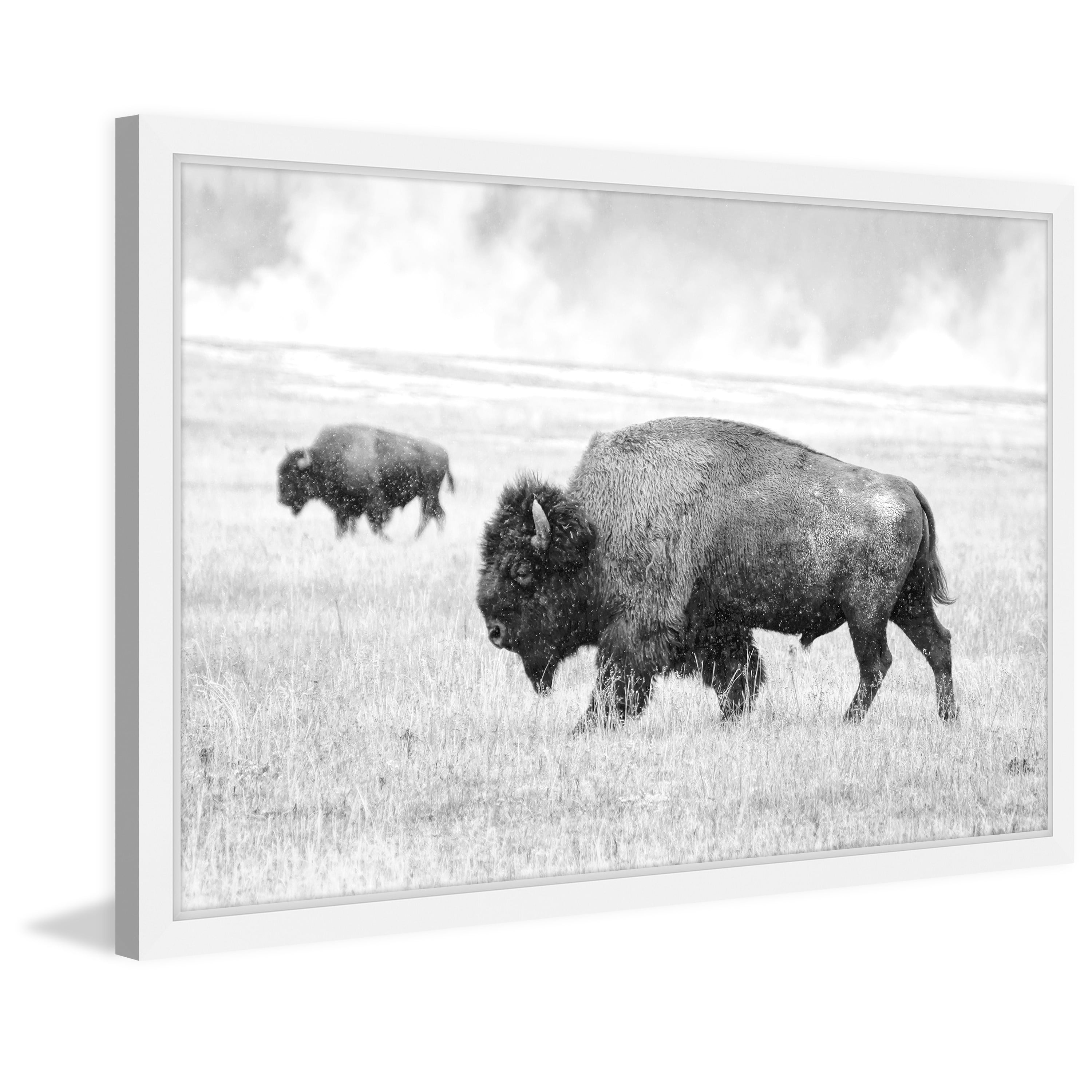 Marmont Hill "Buffalo Pair" Framed Painting Print