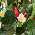 thumbnail image 4 of Silk Strawberry and Bloom Plant Bush - for Spring and Summer - Factory Direct Craft, 4 of 5