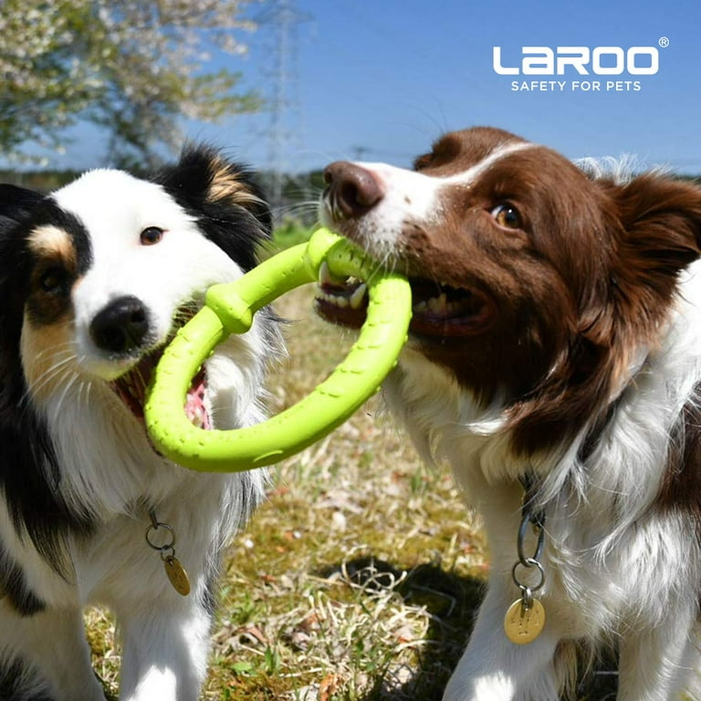 LaRoo Dog Training Ring for Floatable Outdoor Fitness Dog Flying Disc Dog  Tug Toy Interactive Dog Toys for Small Medium Large Dogs