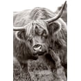 thumbnail image 2 of Parker, Jacky 23x32 Gold Ornate Wood Framed with Double Matting Museum Art Print Titled - The Bull, 2 of 4