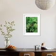 thumbnail image 3 of Tiger Hiding in Foliage Framed Print Wall Art Sold by Art.Com, 3 of 5