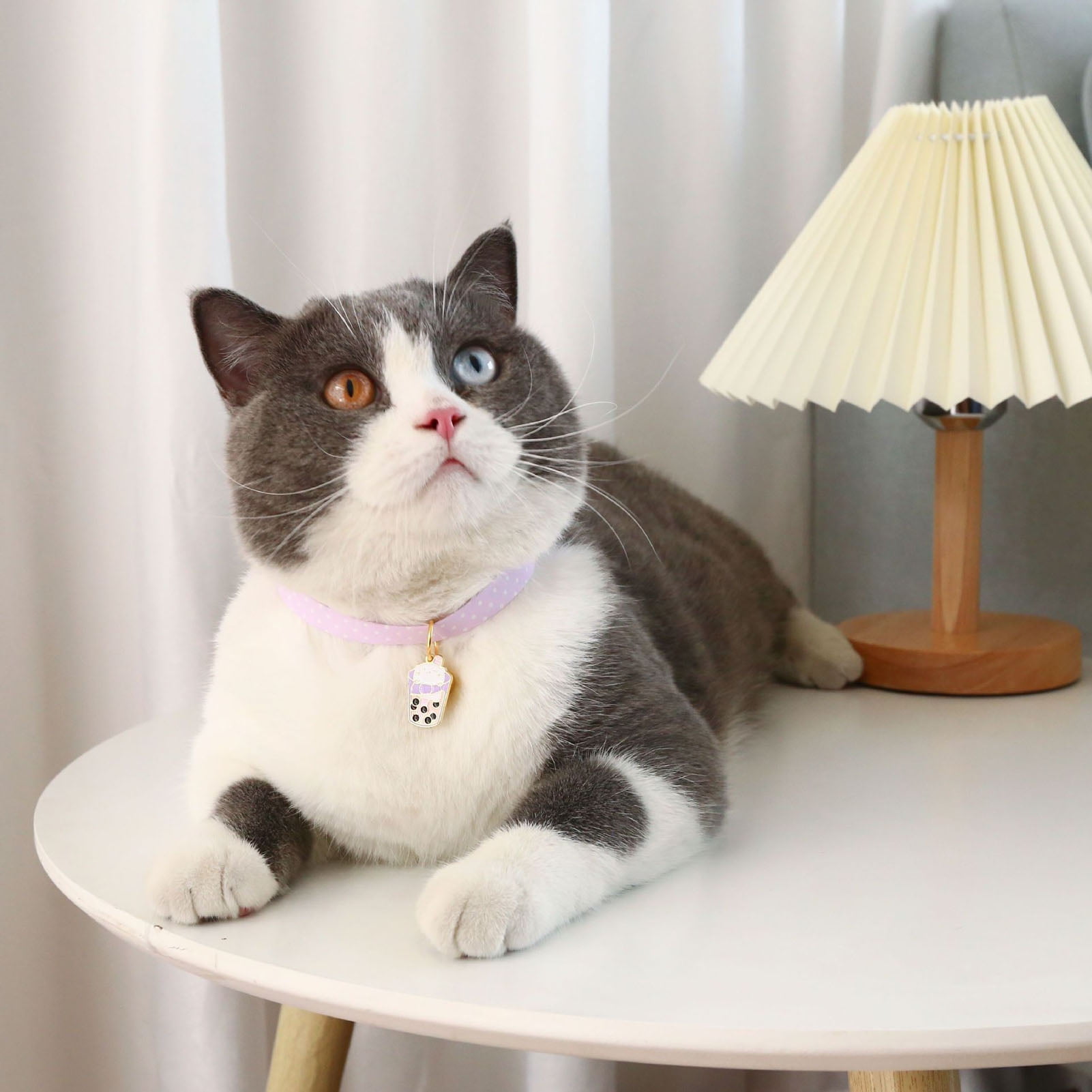 The Pretty Life — Fancy Cat Collars for the Luxurious Feline