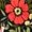 Black Red Yellow Garden, variant on Spring Floral Square Neck Ruffle Hem Midi Dress | S-3X