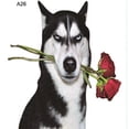 thumbnail image 2 of Calcomanías para autos Husky Sticker Creative para vehículos Scratch Sticker Estilo C, 2 of 3