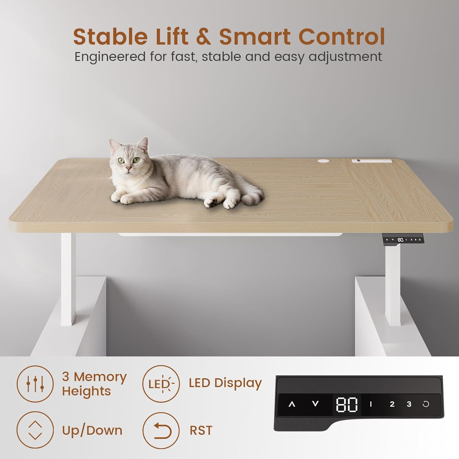 SEDETA 63" Standing Office Desk with Storage, Height Adjustable Executive Desk witj Power Outlets & Open Shelves, Large Computer Desk with Privacy Panel for Home Office, White