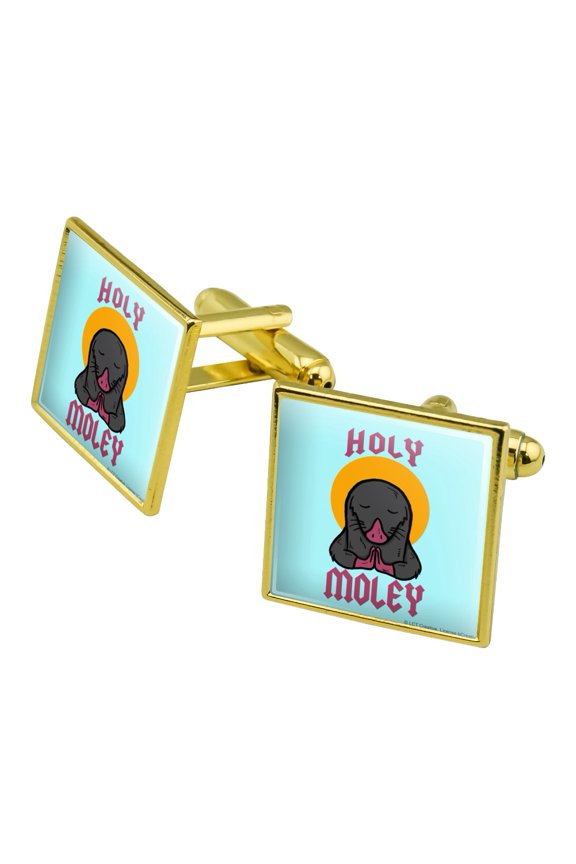 Holy Moley Religious Mole Funny Humor Square Cufflink Set - Silver or Gold