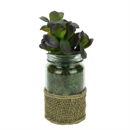 UPC 257554236397 product image for Artificial Potted Jade Succulent Plant in Glass Jar with Burlap Grip 7.5 | upcitemdb.com