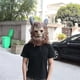 thumbnail image 3 of Beast Mask Beast Cosplay Mask with Wig for Adult, 3 of 5