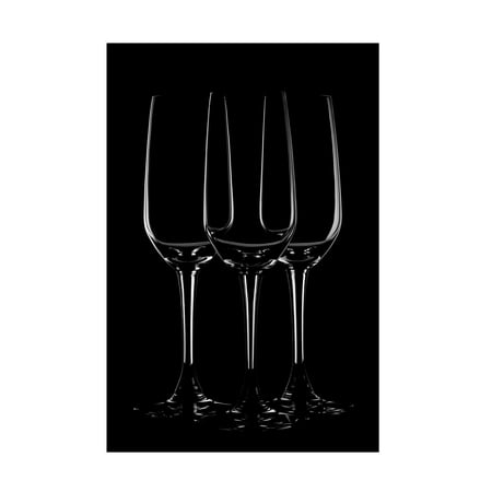 Trademark Fine Art Sumit Dhuper Reflection Art Canvas Wall Art