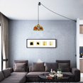 thumbnail image 3 of Kiven Plug in Classic Pendant Light, Pulley Hanging Light with Glass Lampshade and 15FT Cord, Retro Dimmable Ceiling Pendant Light for Bedroom Foyer Hallway Kitchen Island, E26 Socket, 3 of 7