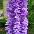 thumbnail image 6 of Diceymbol Artificial Wisteria Garland Flowers 39.3 Inch Fake Hanging Silk Flower Vines for Wedding Decor Garden Party Christmas Home Decoration, 6 of 8