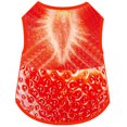 thumbnail image 1 of Fake Strap Pet Spring and Summer Dog Vest Teddy Bitter Panda Cat Fadou Clothes Mesh Breathable Vest, 1 of 7