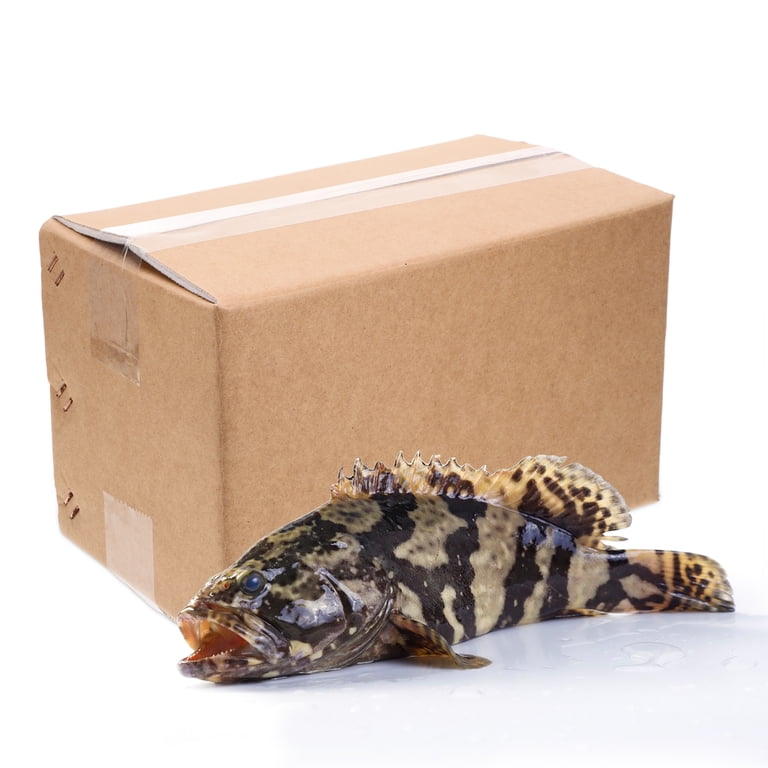 cold fold fish box Omega This method requires no gel or dry ice as long as you pack the box full of your product Insulated Box For Fish Suppliers