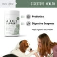 thumbnail image 5 of Chew + Heal All in 1 Dog Multivitamin (120 Soft Chews) Supplements for Skin, Coat, Hip and Joint Support, 5 of 7