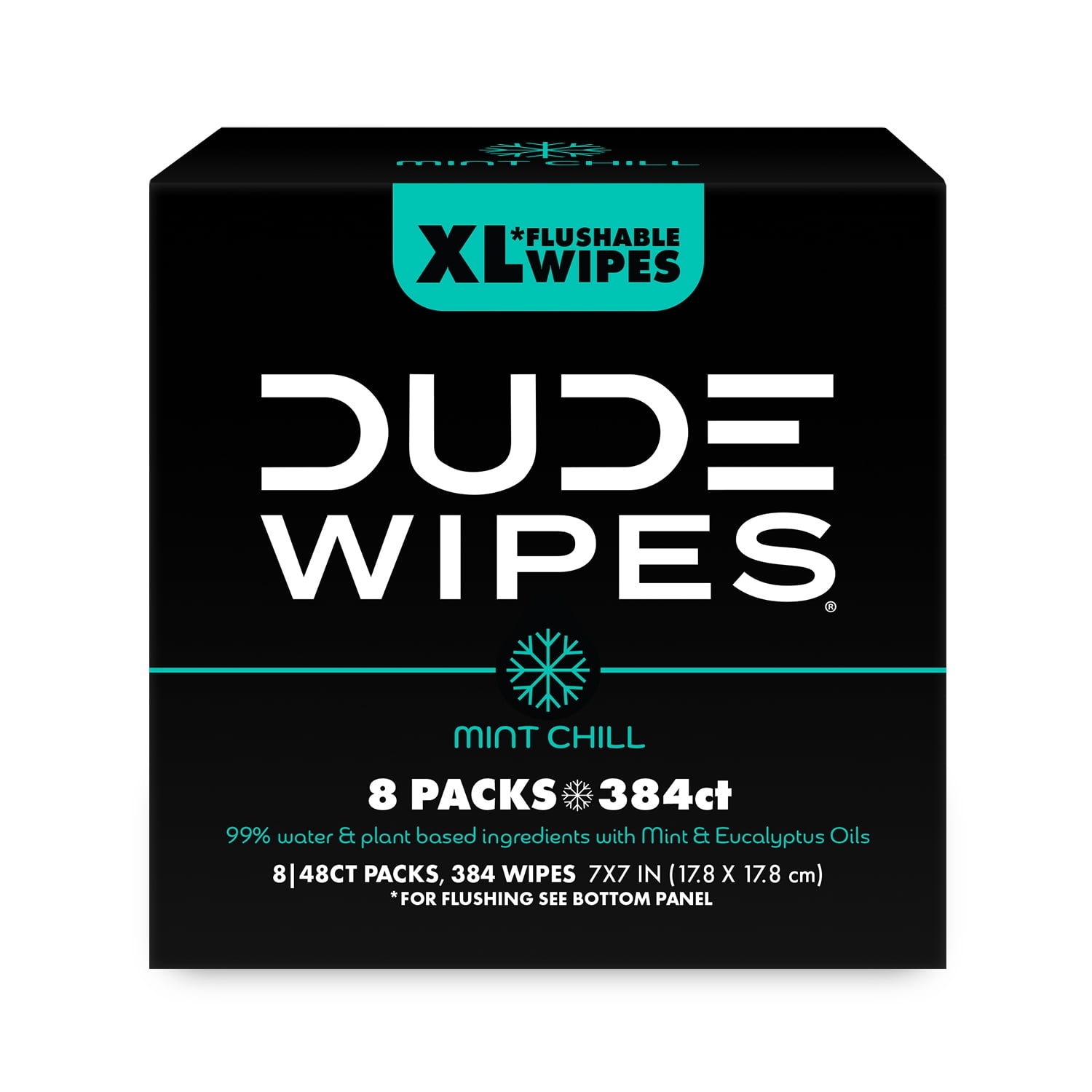 DUDE Wipes Mint Chill, Extra Large Flushable Wipes, 48 Count, 8 Pack (384 Total)