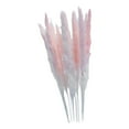 thumbnail image 3 of 15 piezas de hierba de la pampa seca, penachos de caña, ramo de flores, flores decorativas de Phragmites Rosa, 3 of 9