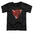 thumbnail image 2 of Harry Potter Gryffindor Bravery Courage Determination Kids T Shirt (2) for Youth Toddler Boys and Girls, Black, 2 of 5