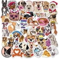 thumbnail image 2 of Paquete de pegatinas de vinilo para perros, botellas de agua, equipaje, portátil, monopatín, Pu, 80 Uds., 2 of 5
