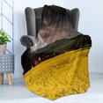thumbnail image 4 of Nature Soft Flannel Fleece Blanket, Thunderstorm over the Meadow Valley with Scary Dark Sky Rural Farm Scenery, Cozy Plush for Indoor and Outdoor Use, 50" x 70", Yellow Green Purple, by Ambesonne, 4 of 5