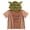 Yoda Green Tan, variant on Star Wars Toddler Boys' Cosplay Hooded T-Shirt Stormtrooper White