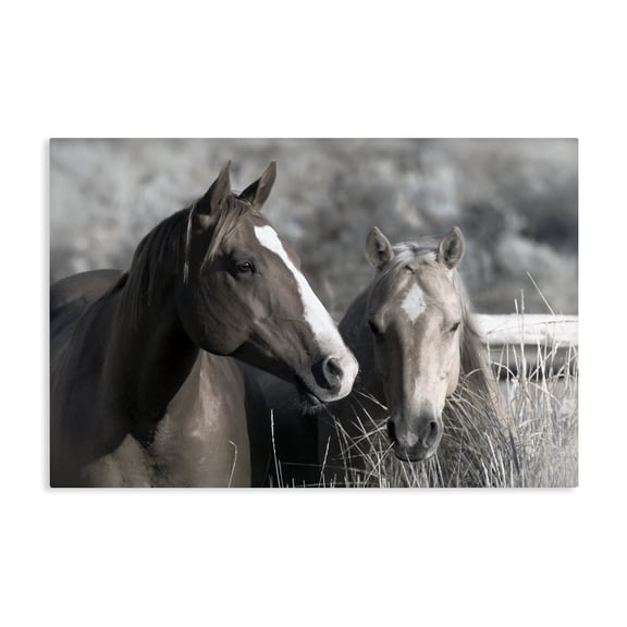 Stupell Industries Rustic Lodge Content Horses In Pasture Canvas Art, 24 x 16, by Danita Delimont