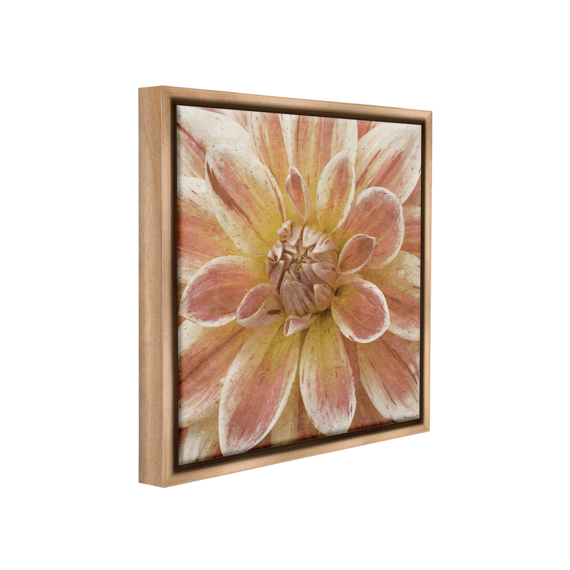 Stupell Industries Blooming Petals Close Up Botanical & Floral Painting Brown Floater Framed Canvas Art Print Wall Art, 18 x 18