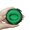 Green, variant on Travel Watch Case Zippered Design Storage Box Shockproof for Wristwatches and Smartwatches with Soft Interior