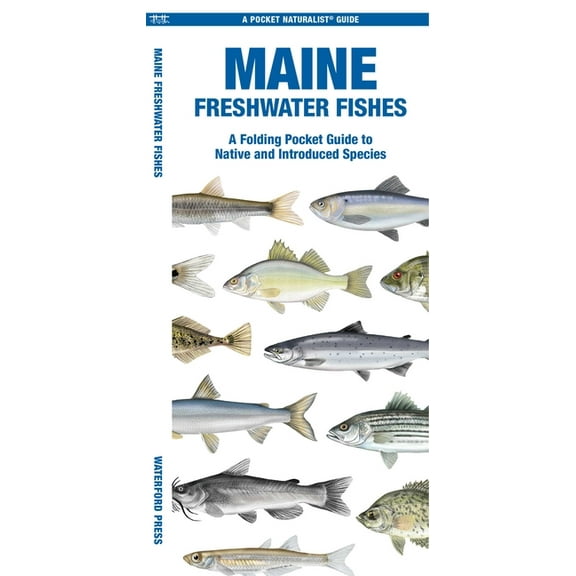 Nature Observation North America Maine Freshwater Fishes, (Paperback)