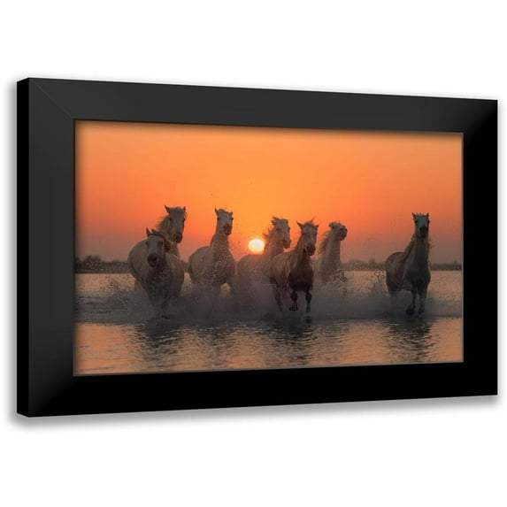 Anton, Rostovskiy 24x17 Black Modern Framed Museum Art Print Titled - Sunset in Camargue