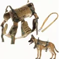 thumbnail image 3 of Chaleco Táctico Perro Pechera Militar Desmontabl Correa, 3 of 8
