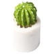 thumbnail image 1 of Molde de silicona, 3D DIY Forma de cactus D Molde para hornear D Molde para pasteles Funcionalidad inteligente, 1 of 5