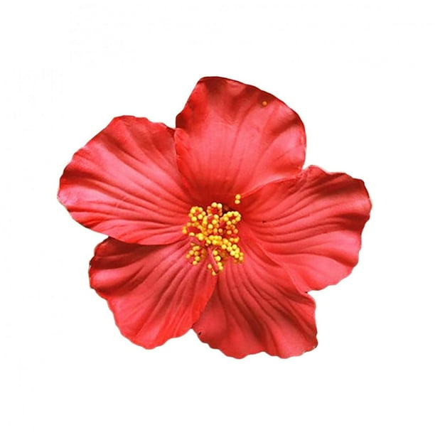 1 pinza para el pelo de flor hawaiana roja para mujeres y niñas, accesorio para el pelo de flores bohemias para bailarina, novia, boda, fiesta en la playa, pinzas para el pelo y pasadores para el cuid