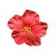 thumbnail image 1 of 1 pinza para el pelo de flor hawaiana roja para mujeres y niñas, accesorio para el pelo de flores bohemias para bailarina, novia, boda, fiesta en la playa, pinzas para el pelo y pasadores para el cuid, 1 of 5