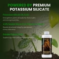 thumbnail image 3 of Humboldts Secret Tree Trunk | Potassium Silicate Additive | Liquid Fertilizer for Thicker Stalks, Stress Resistance & Branch Development | Indoor & Outdoor Plant Food, Hydroponic Nutrients, 8 Ounce, 3 of 10