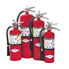 AMEREX B441 Fire Extinguisher, 4A:80B:C, Dry Chemical, 10 lb