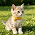 thumbnail image 4 of DGMIOCS Elastic Cat Collar of Safety Quick Release Cat Collars with Bell Anti-Suffocation Kitten Puppy Collars, 4 of 4