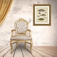 thumbnail image 3 of Rees, Abraham 19x24 Gold Ornate Wood Framed with Double Matting Museum Art Print Titled - Non-Embellished Ichthyology II, 3 of 4