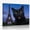 B, variant on XaaKee Canvas Wall Art Prints Black Cat Selfie Modern Art Prints Inner Framed 18*12Inch