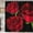 Rose, variant on Red Rose Shower Curtain, Floral Shower Curtain, Romantic Love Flower Green Leaves Valentine's Day Wedding Modern Women Bathroom Decor, Waterproof Fabric Black Shower Curtain, 72 X 72 Inch