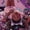 Brown Pink Black, variant on Castle Fairy Stylish Black Girl Twin Bedding 7-Piece,Music Makeup Print Bedding Comforter Set,Purple